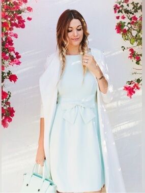 Ted Baker Mint Bow Accent Midi Dress Sz 4